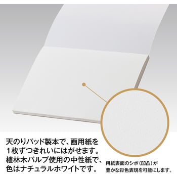 AX-8880-00 アゾン スケッチブック セキセイ サイズA4 1冊 AX