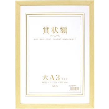 SRO-1089-00 ؐ܏z ZLZC Rt(100cm)dl 47947334