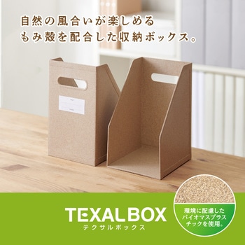 テクサルボックス セキセイ