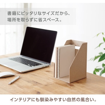 テクサルボックス セキセイ