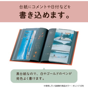 ポケットアルバム セキセイ