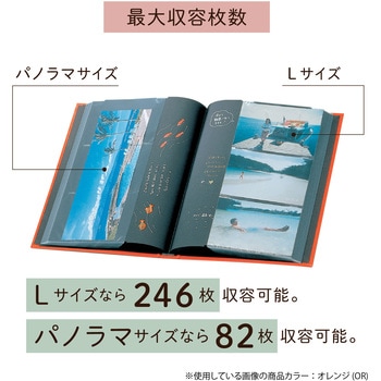 ポケットアルバム セキセイ