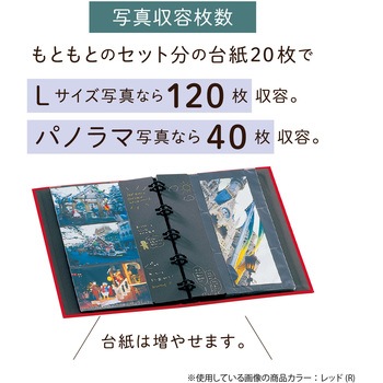 ポケットアルバム バインダータイプ セキセイ