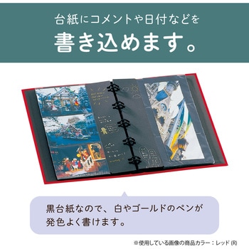 ポケットアルバム バインダータイプ セキセイ