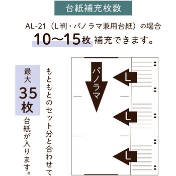 ポケットアルバム バインダータイプ セキセイ