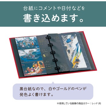 ポケットアルバム バインダータイプ セキセイ