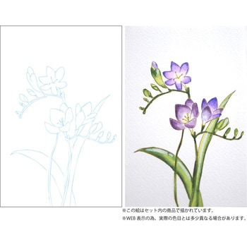 水彩イラスト 花の描き方レッスン/グラデーション 呉竹