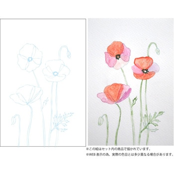水彩イラスト 花の描き方レッスン/重ね塗り 呉竹