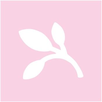 KurePunch Medium/TWIG 呉竹