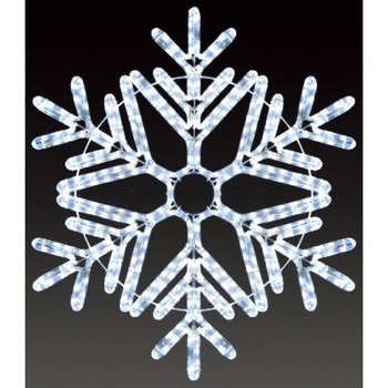 スノーフローラ アミューズ