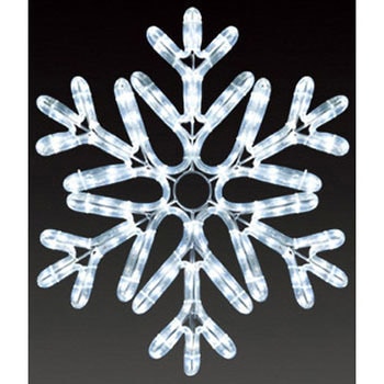 スノーフローラ アミューズ