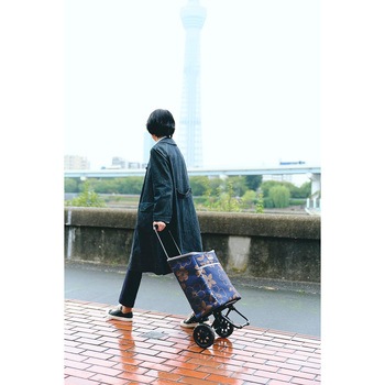 536506 チェスター バッグインバッグカート BL COCORO