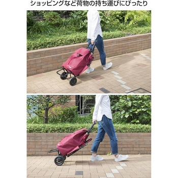 439104 ココロフラワー カートチェア BK COCORO
