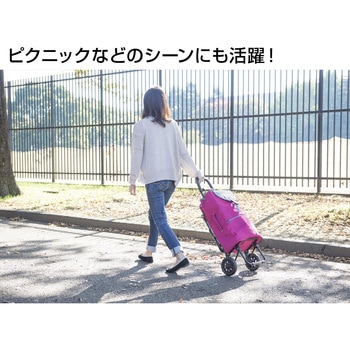 439104 ココロフラワー カートチェア BK COCORO