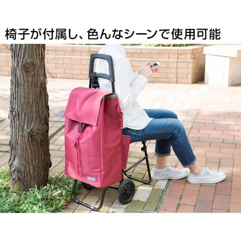 439104 ココロフラワー カートチェア BK COCORO