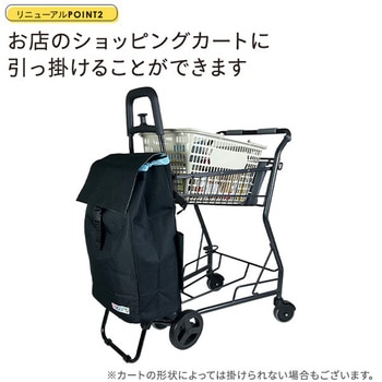 545614 ココロ カートセット NV COCORO