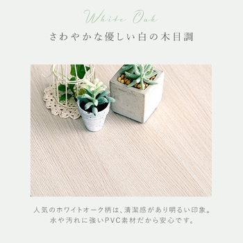さわやかなマルチラック ホームテイスト