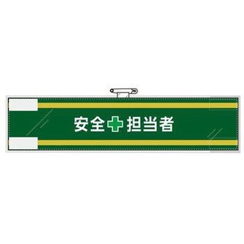 EA983RG-31B r(tFg) GXR 48165969