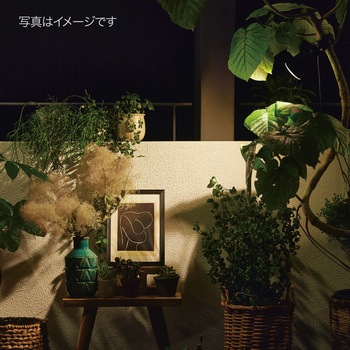 ひかりノベーション活動のひかりセット タカショー