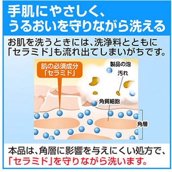 ソフティ EX-CARE 泡ハンドウォッシュ 花王