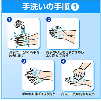 ソフティ EX-CARE 泡ハンドウォッシュ 花王