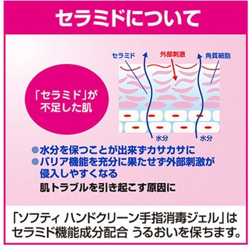 ハンドクリーン手指消毒ジェル ソフティ R 花王