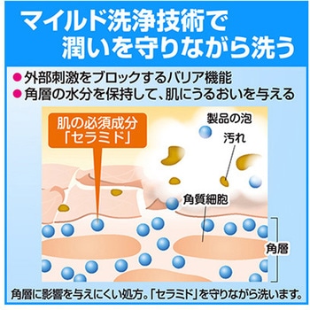 ソフティ 泡のヘッド&ボディシャンプー 花王