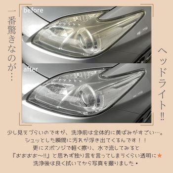 MAX極落クリーナー ディアンドディ