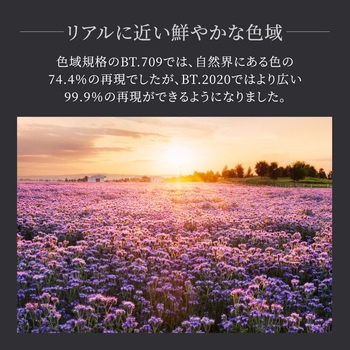 HDMI Type-A to Type-A ケーブル OWLTECH(オウルテック)