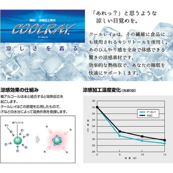 敷きパッド&枕セット 涼感素材 クールレイ