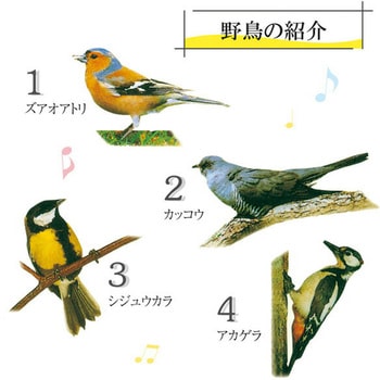 野鳥の電波壁掛け時計 マリン商事