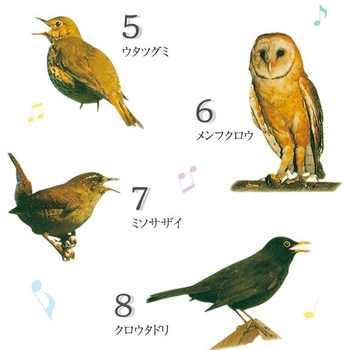 野鳥の電波壁掛け時計 マリン商事