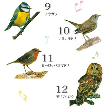 野鳥の電波壁掛け時計 マリン商事