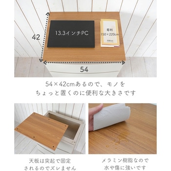 収納チェスト ルームス  天板付き サンカ