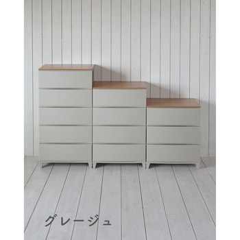 収納チェスト ルームス  天板付き サンカ