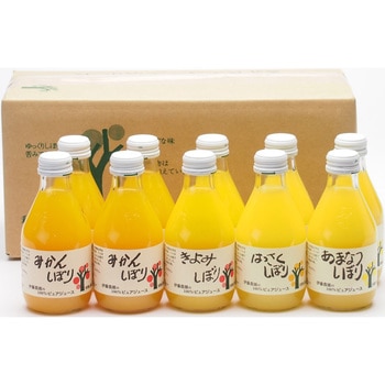 100%ピュアジュース10本セット 伊藤農園