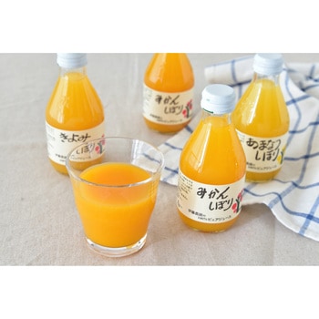 100%ピュアジュース10本セット 伊藤農園