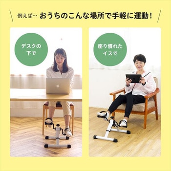 コンパクトバイク サイクルン アルインコ