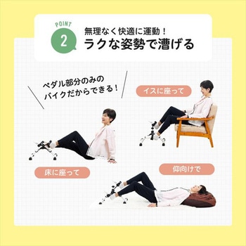 コンパクトバイク サイクルン アルインコ