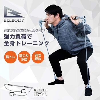エアロビックスティックバー アルインコ