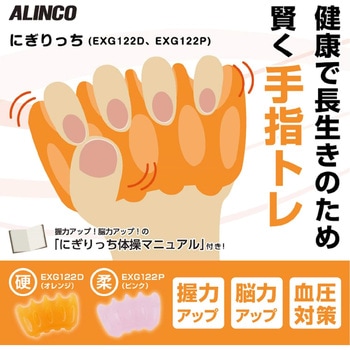 にぎりっち アルインコ
