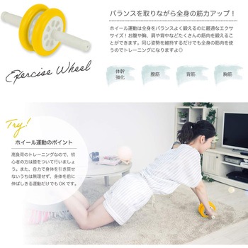 エクササイズホイール アルインコ