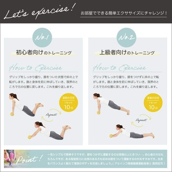 エクササイズホイール アルインコ