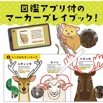 まねしてかいていきものはかせ アーテック[学校教材・教育玩具]