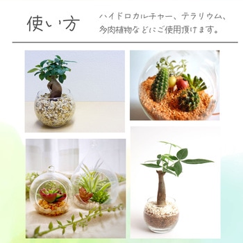カラーゼオライト 水色 アーテック[学校教材・教育玩具]