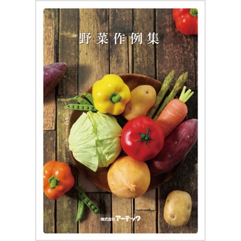 58136 セレネ作例集 野菜 アーテック A4(210×297mm)サイズ - 【通販 ...