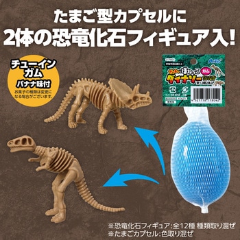 ぎゃおっとほねっこダイナソー(ガム) アーテック[学校教材・教育玩具]
