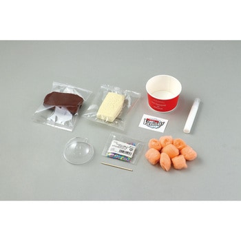 食品サンプルをつくろう!ダブルカップアイス アーテック