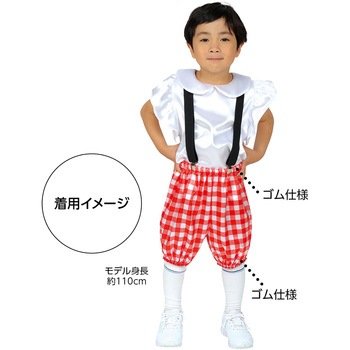 ソフトサテンかぼちゃパンツ(ギンガム)Cサイズ ブルー アーテック