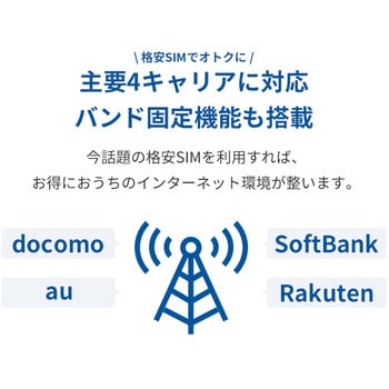 PIX-RT100-EC LTE対応SIMフリーホームルーター 1個 ピクセラ 【通販